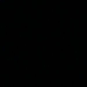 Meet your Posher, Rodney